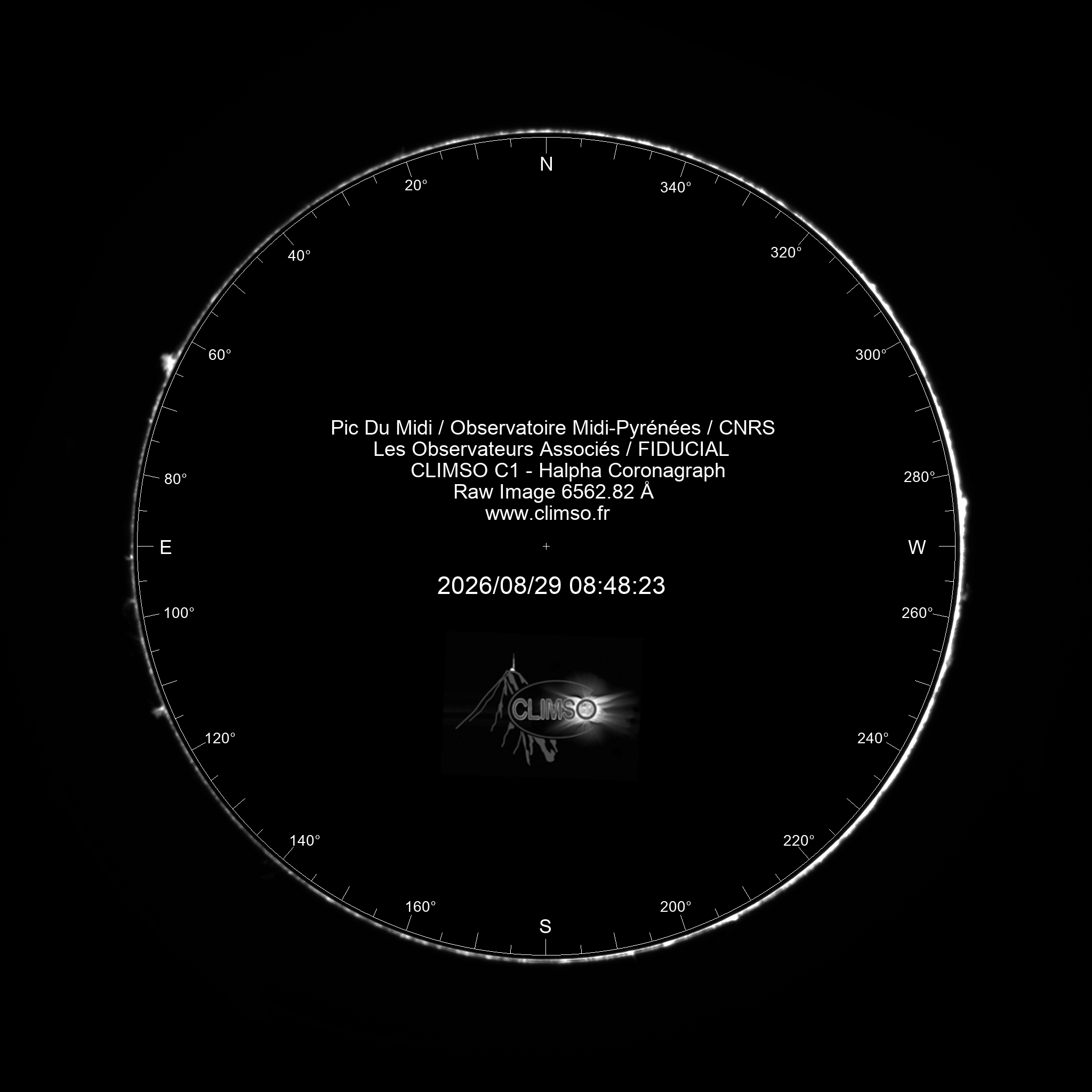 Image C1 6563