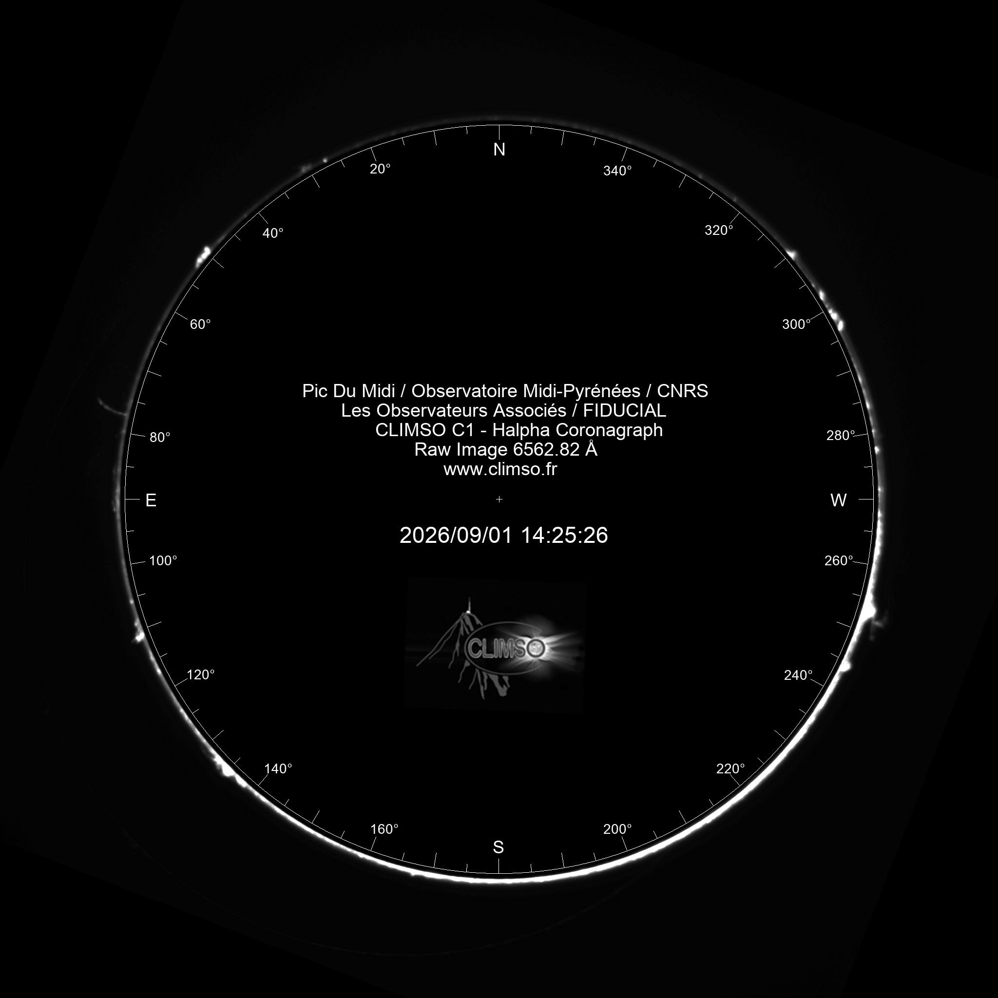 Image C1 6563
