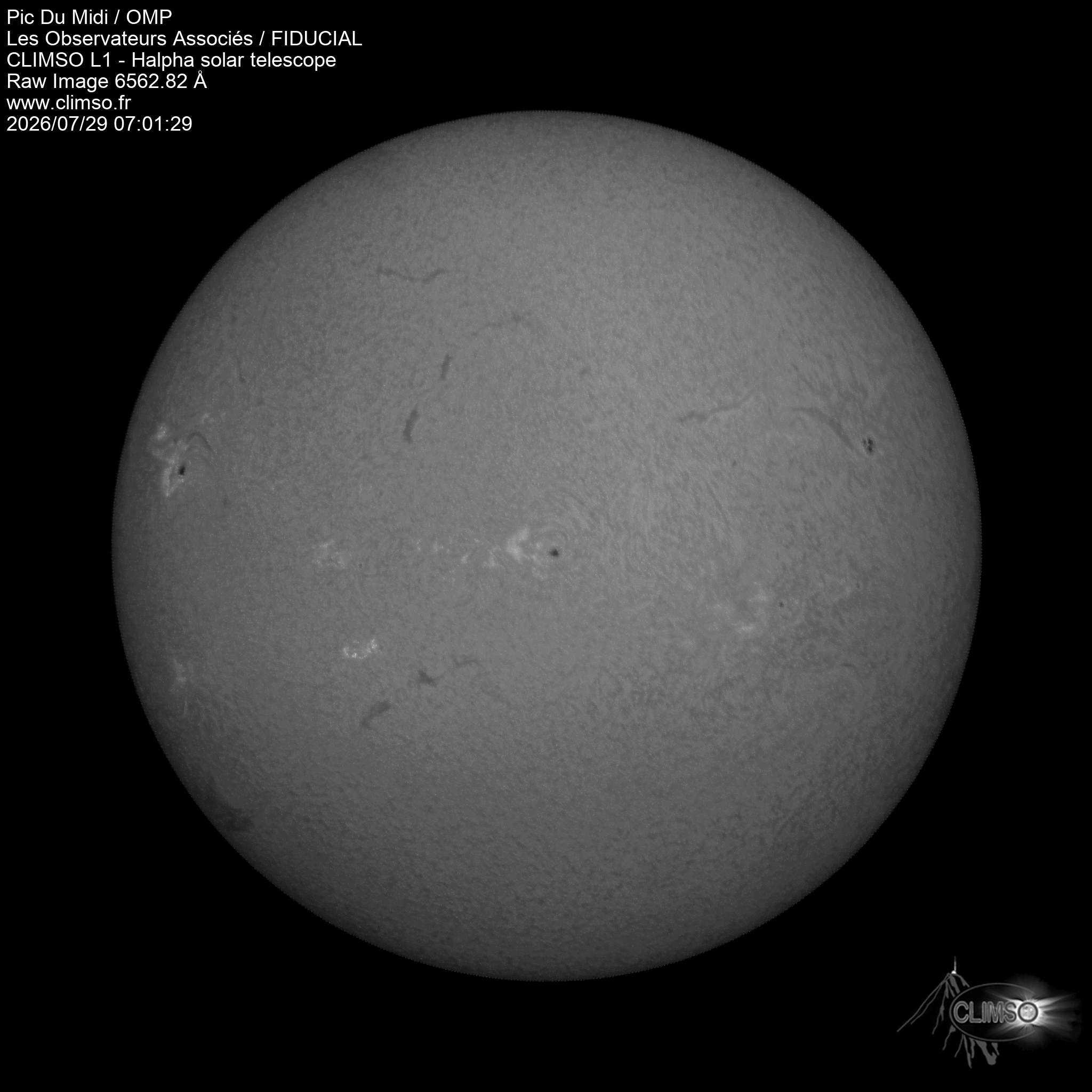 Image L1 6563