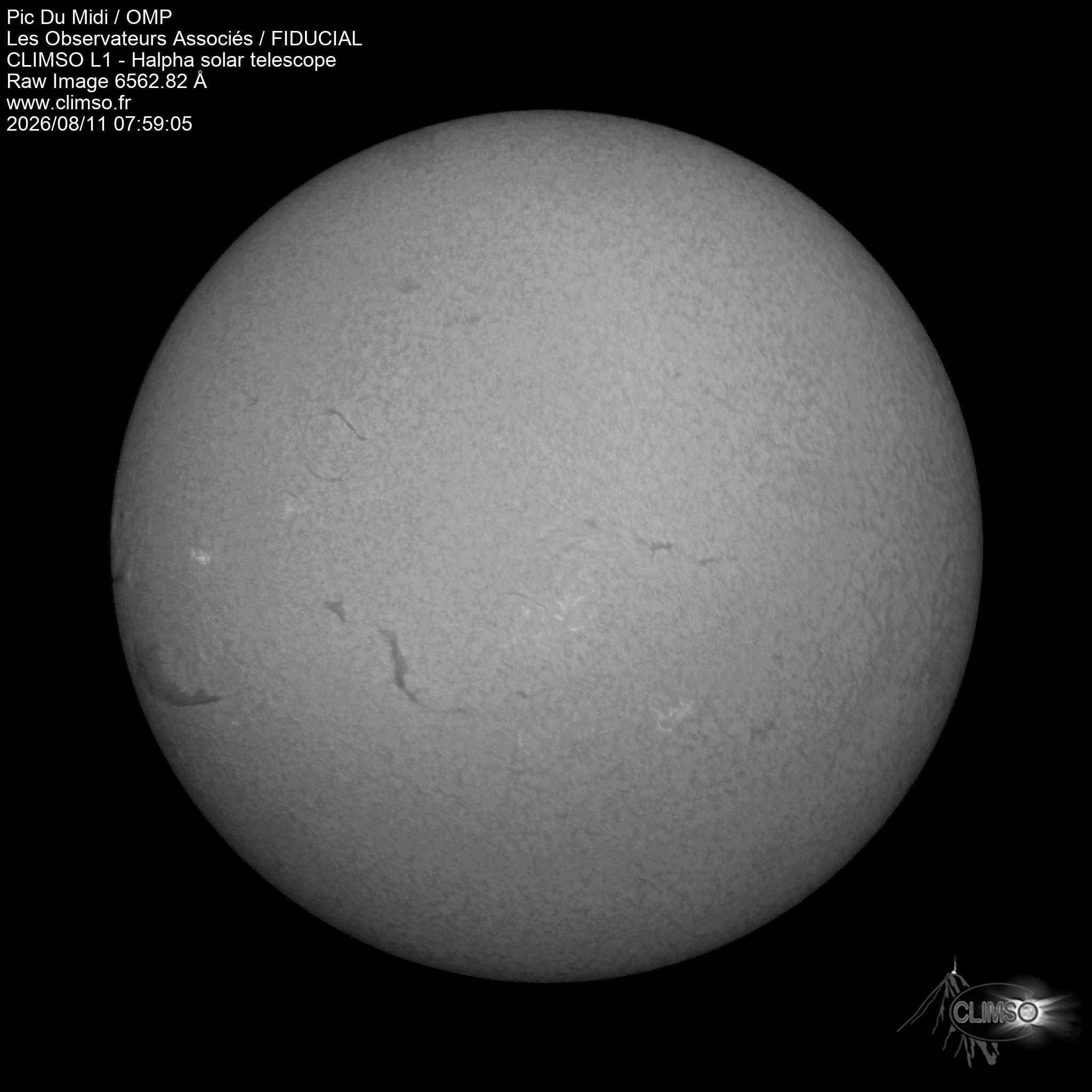 Image L1 6563