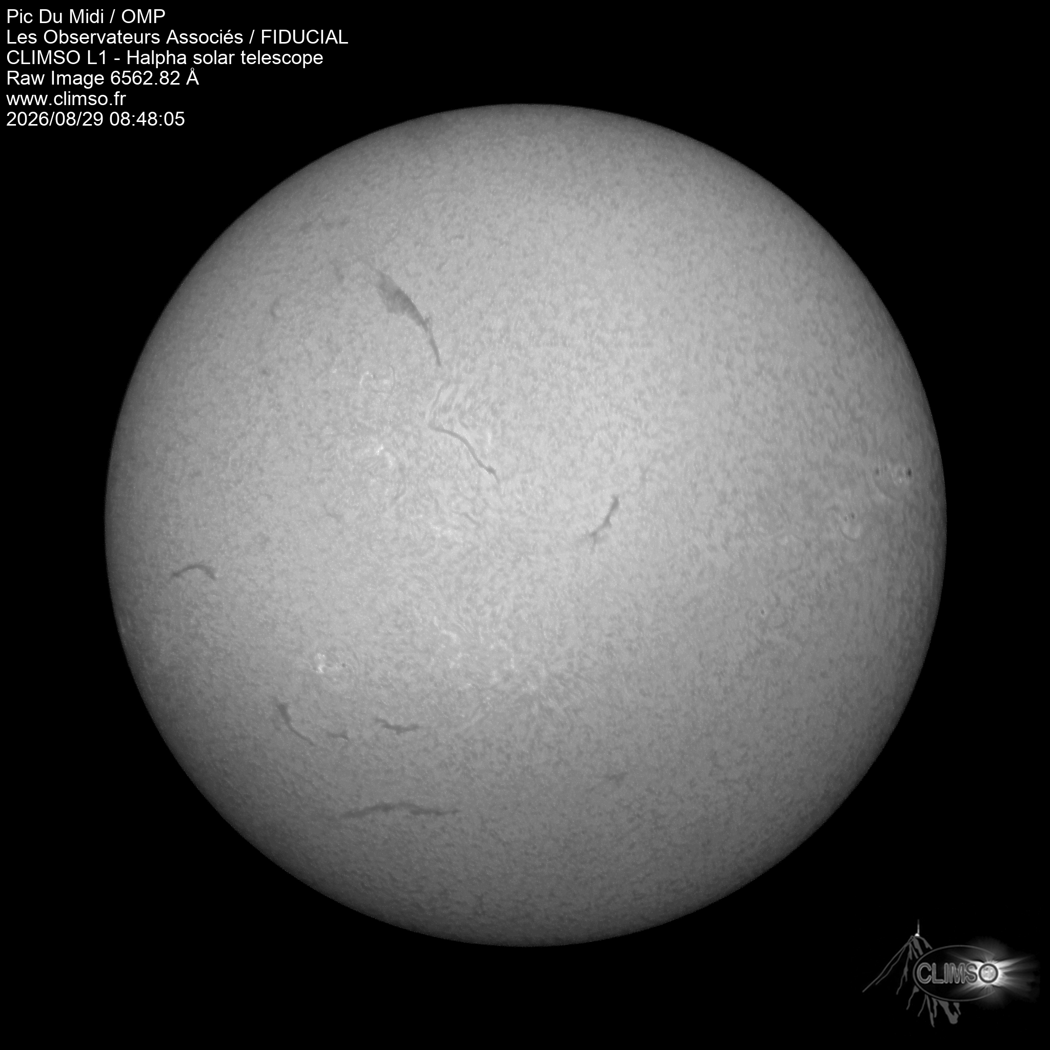 Image L1 6563