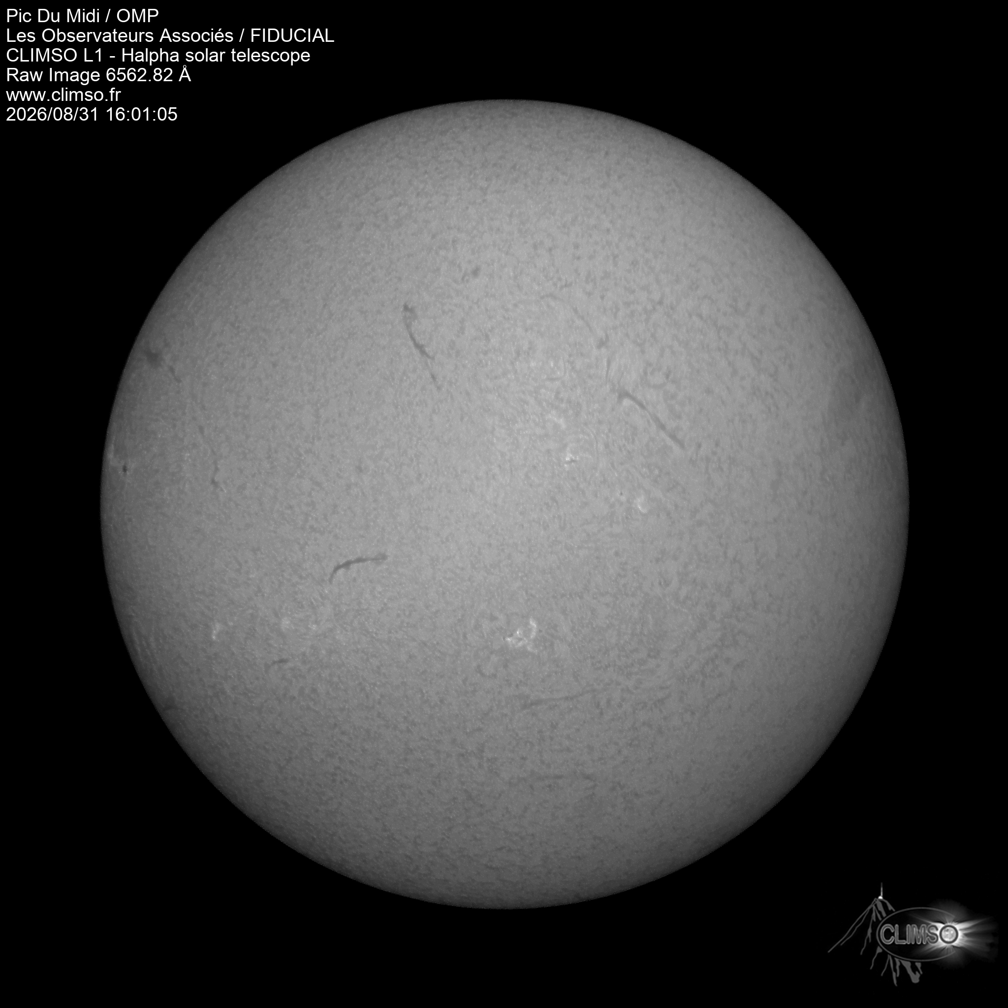 Image L1 6563