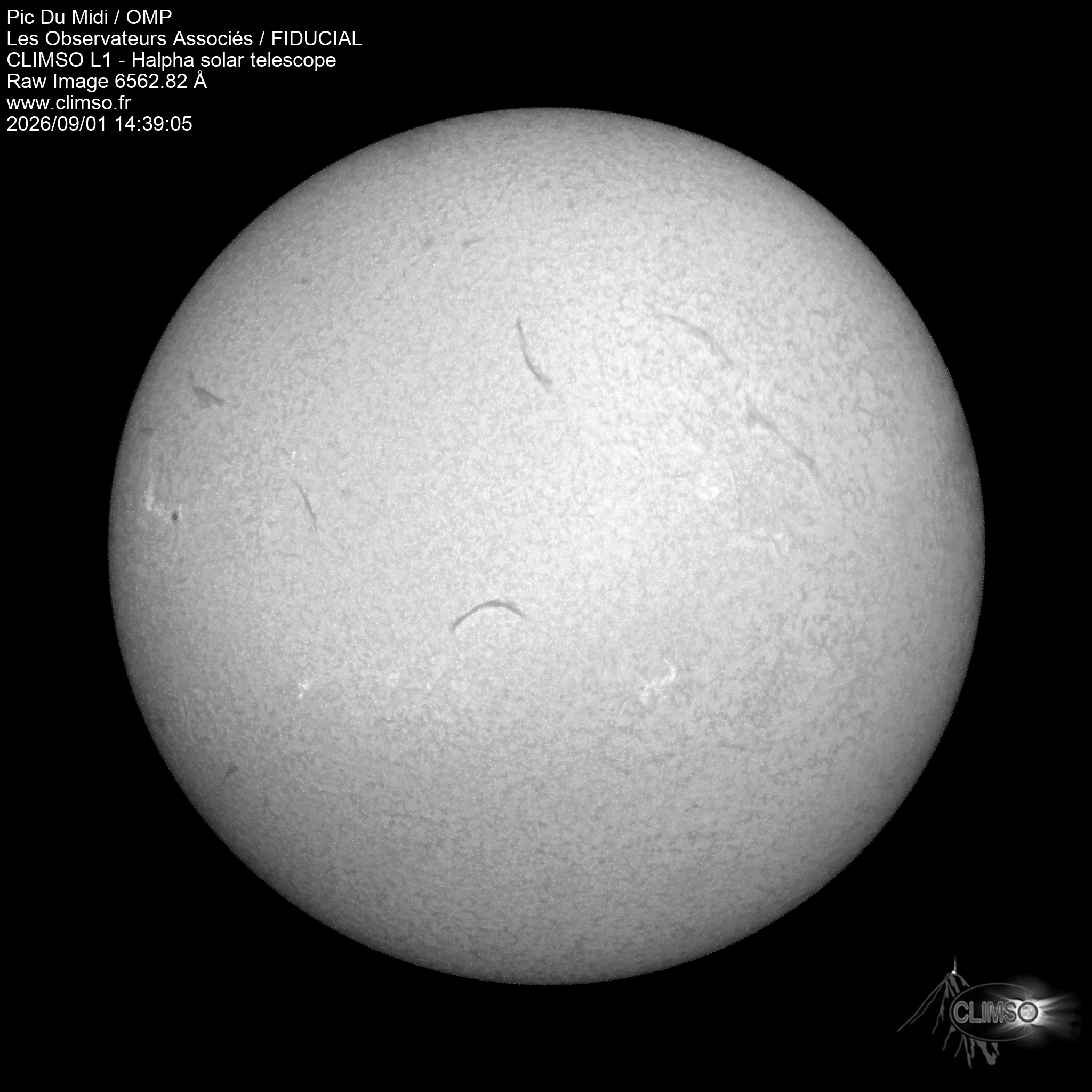 Image L1 6563