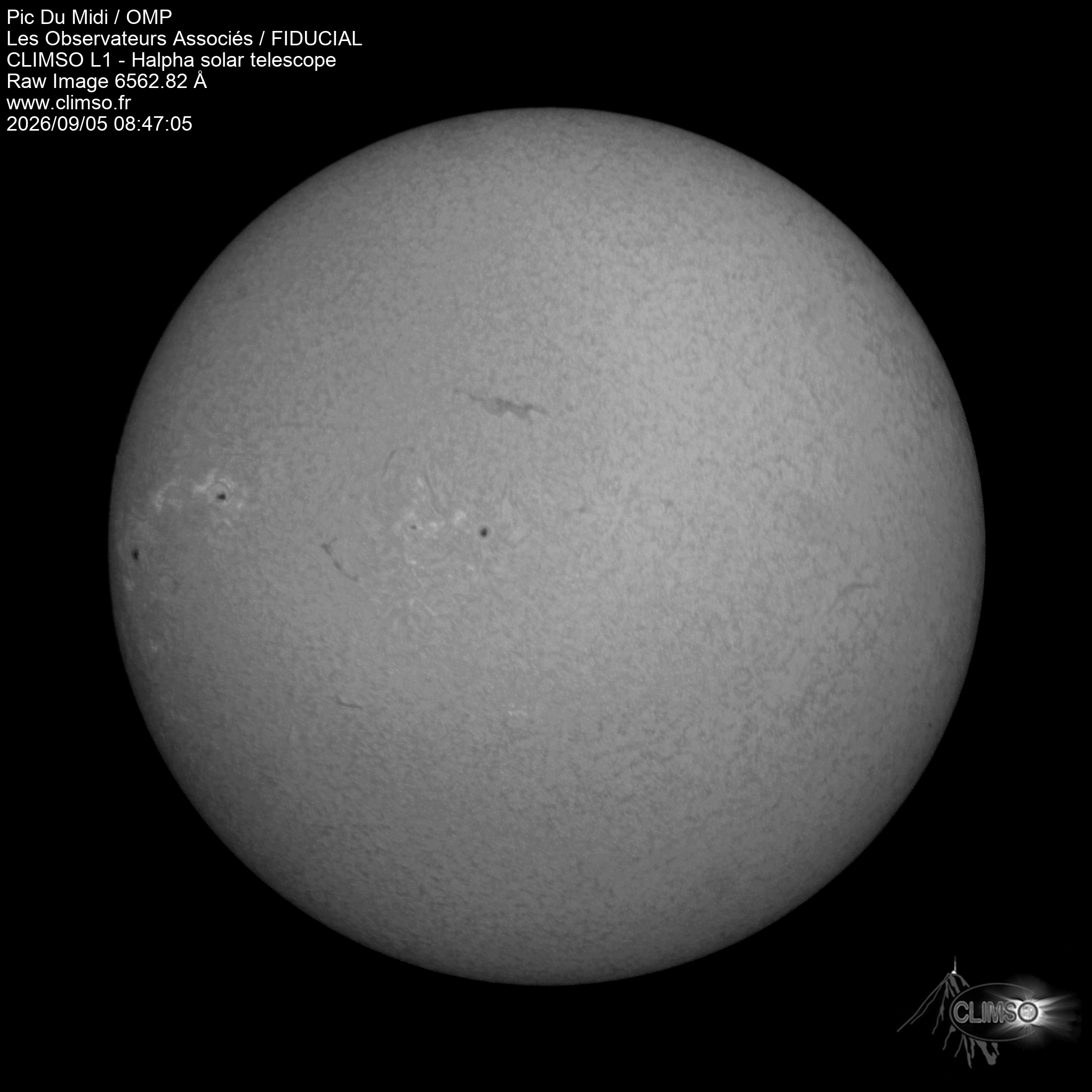 Image L1 6563