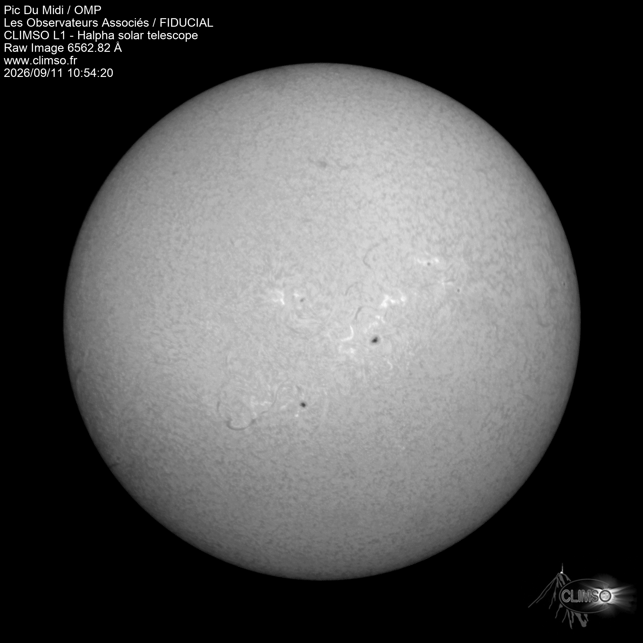 Image L1 6563