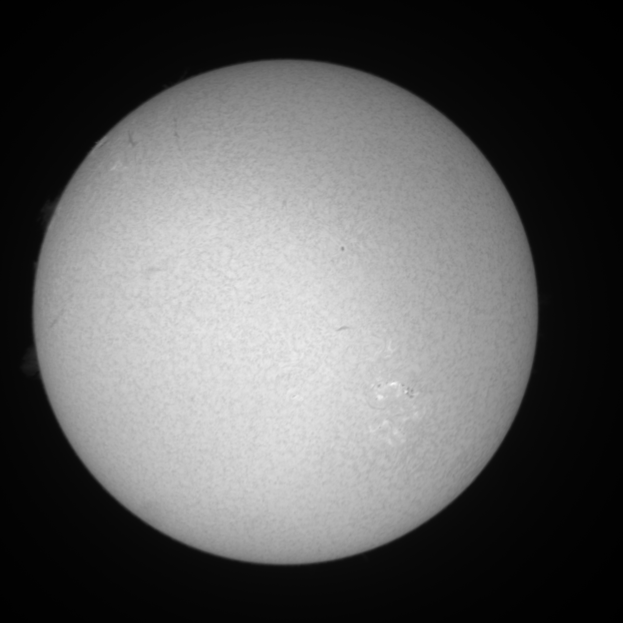 Image L1 6563