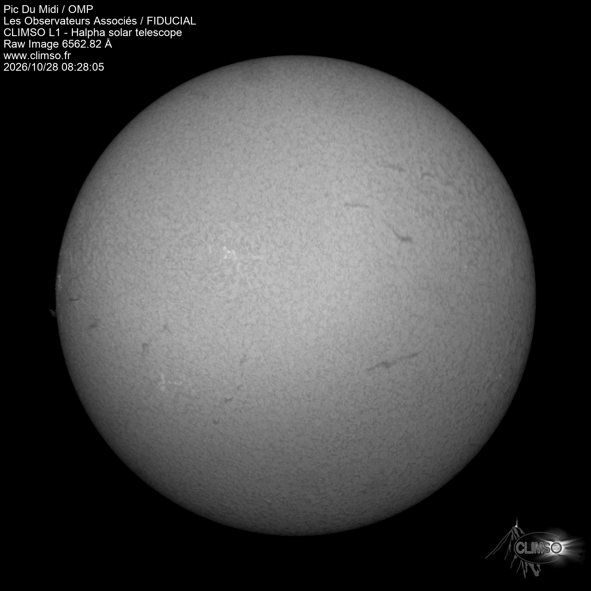 Image L1 6563